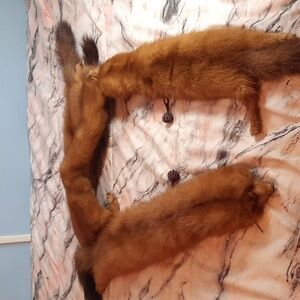 L. S. Ayres Mink Stole